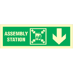 [17-100059PVHR] Assembly station arrow down - Photoluminescent Self Adhesive Vinyl - 100 x 300 mm