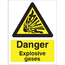 Danger Explosive gases 200x150 mm