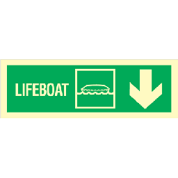 [17-J-100069] Lifeboat arrow down right corner 100 x 300 mm